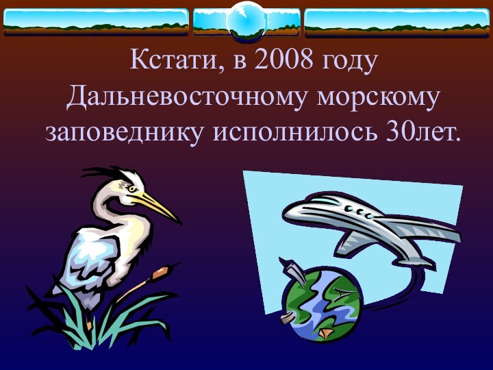 Кстати, в 2008 году Дальневосточному морскому заповеднику исполнилось 30лет.