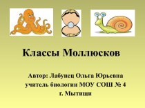 Классы Моллюсков