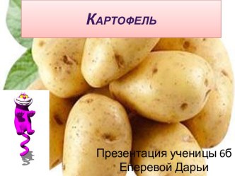 Картофель