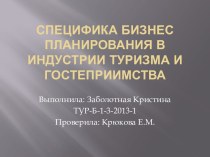 Специфика бизнес планирования в индустрии туризма и гостеприимства