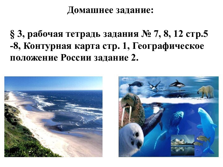 Домашнее задание:§ 3, рабочая тетрадь задания № 7, 8, 12 стр.5 -8,