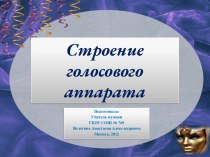 Строение голосового аппарата