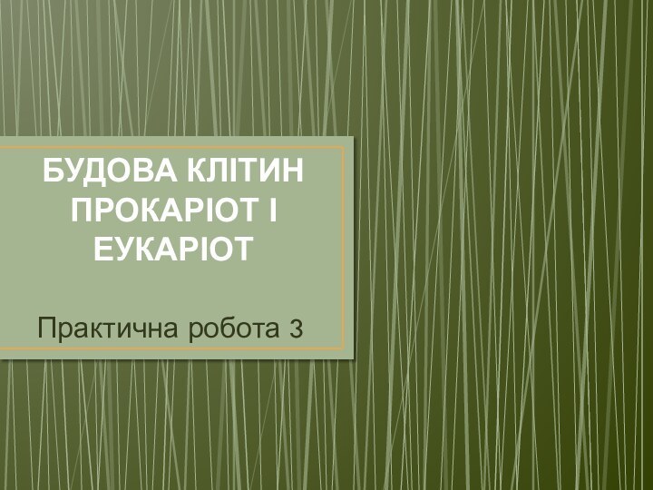 БУДОВА КЛІТИН ПРОКАРІОТ І ЕУКАРІОТПрактична робота 3