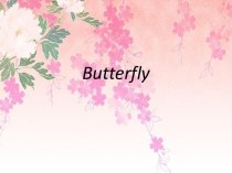 Butterfly