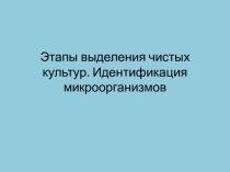 Выделение чистых культур. Идентификация