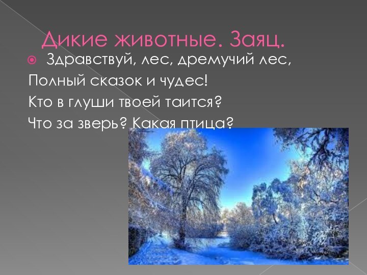 Дикие животные. Заяц.Здравствуй, лес, дремучий лес, Полный сказок и чудес!Кто в глуши