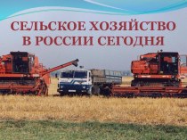 Сельское хозяйство в России сегодня