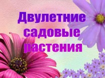 Двулетние садовые растения