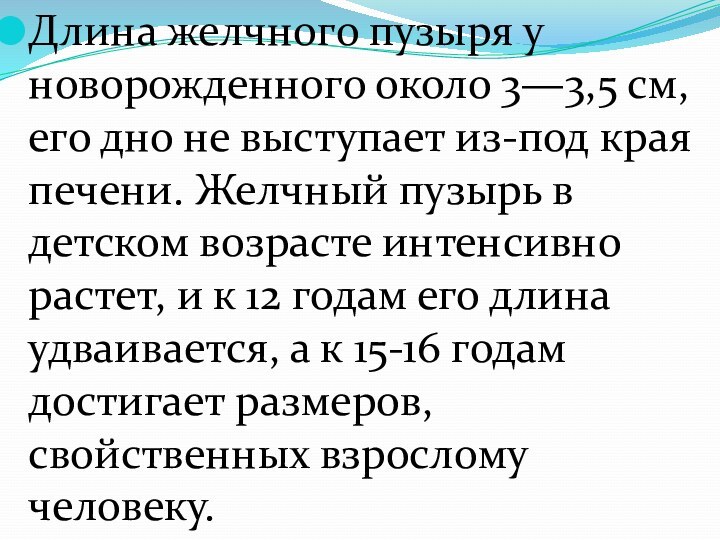 Длина желчного пузыря у новорожденного около 3—3,5 см, его дно не выступает