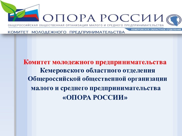 Комитет молодежного предпринимательства Кемеровского областного отделения Общероссийской общественной организации малого и среднего предпринимательства «ОПОРА РОССИИ»