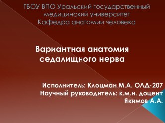 ГБОУ ВПО Уральский государственный медицинский университет Кафедра анатомии человека