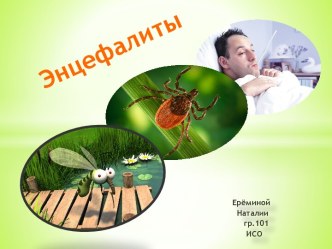 Энцефалиты