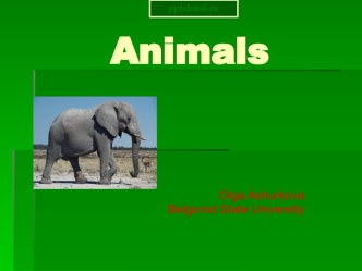 Презентация Animals