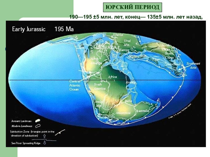 ЮРСКИЙ ПЕРИОД190—195 ±5 млн. лет, конец— 135±5 млн. лет назад,