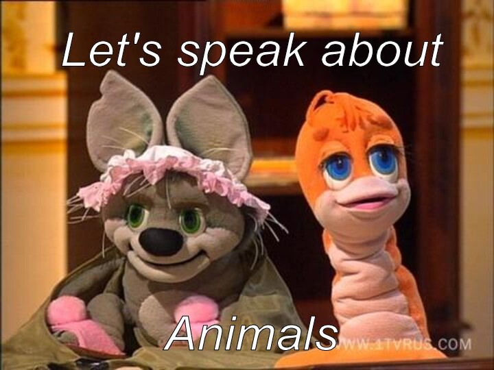 Let's speak aboutAnimals