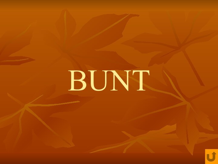 BUNT