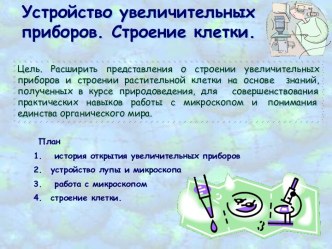 Устройство увеличительных приборов. Строение клетки