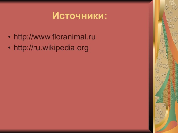 Источники:http://www.floranimal.ruhttp://ru.wikipedia.org