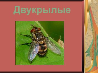 Двукрылые