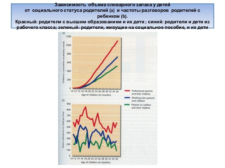 Зависимость объема словарного запаса у детей  от социального статуса родителей (a)
