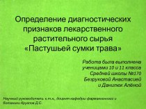 Определение диагностических признаков лекарственного растительного сырья Пастушьей сумки трава