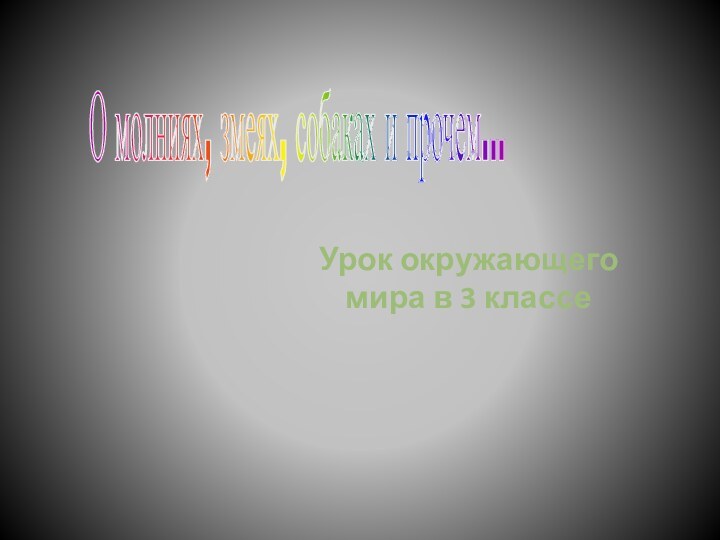 Урок окружающего мира в 3 классеО молниях, змеях, собаках и прочем...