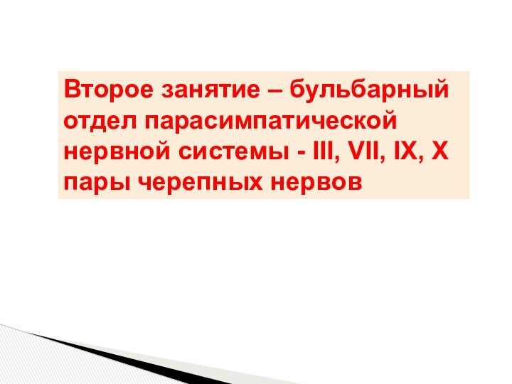 Второе занятие – бульбарный отдел парасимпатической нервной системы - III, VII, IX, X пары черепных нервов