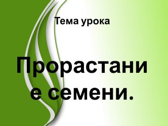 Прорастание семян