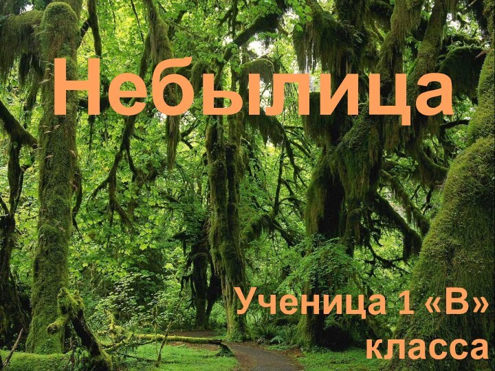 Небылица Ученица 1 «В» классаКонюхова Наталия