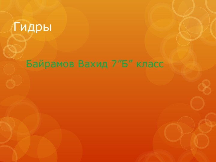ГидрыБайрамов Вахид 7”Б” класс