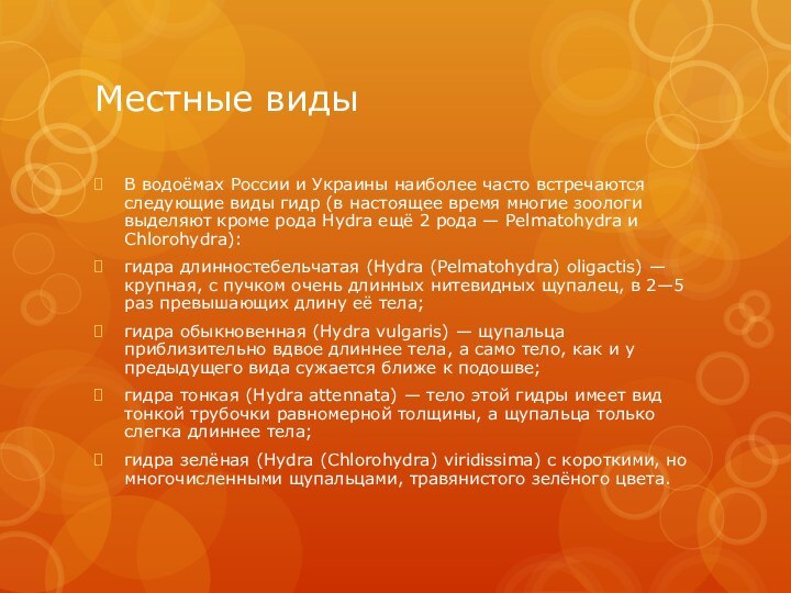 Местные видыВ водоёмах России и Украины наиболее часто встречаются следующие виды гидр