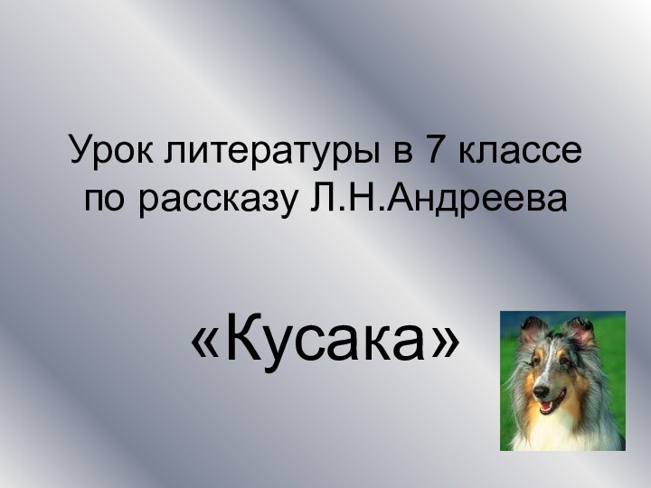 Урок литературы в 7 классе по рассказу Л.Н.Андреева«Кусака»