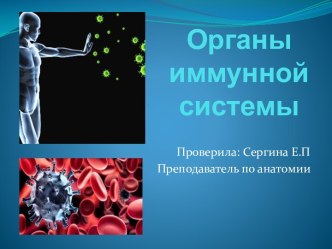 Органы иммунной системы