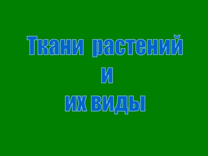 Ткани растений и их виды