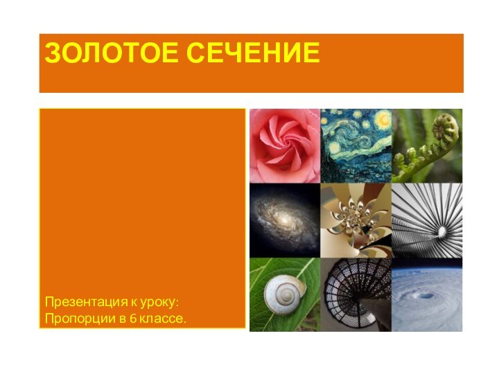 Золотое сечениеПрезентация к уроку: Пропорции в 6 классе.