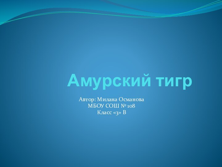 Амурский тигрАвтор: Милана ОсмановаМБОУ СОШ № 108Класс «3» В