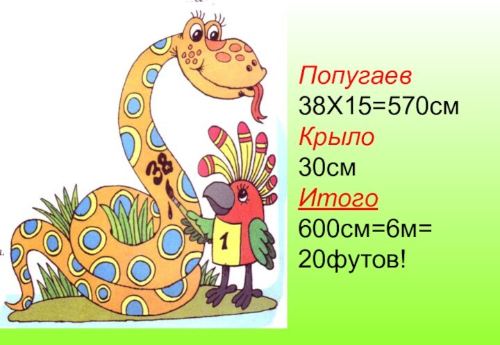 Попугаев 38Х15=570см  Крыло30см Итого600см=6м=20футов!