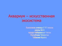 Аквариум – искусственная экосистема