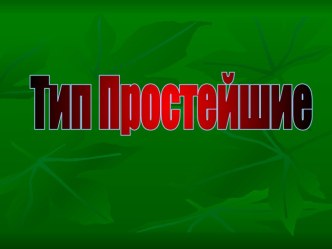 Тип Простейшие