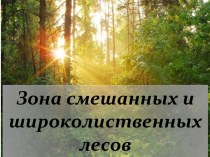 Зона смешанных и широколиственных лесов России