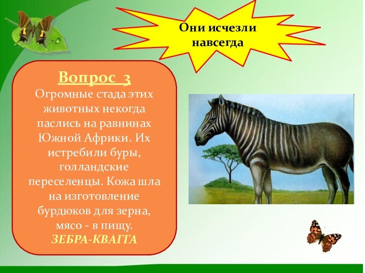 Они исчезли навсегдаВопрос 3Огромные стада этих животных некогда паслись на равнинах Южной