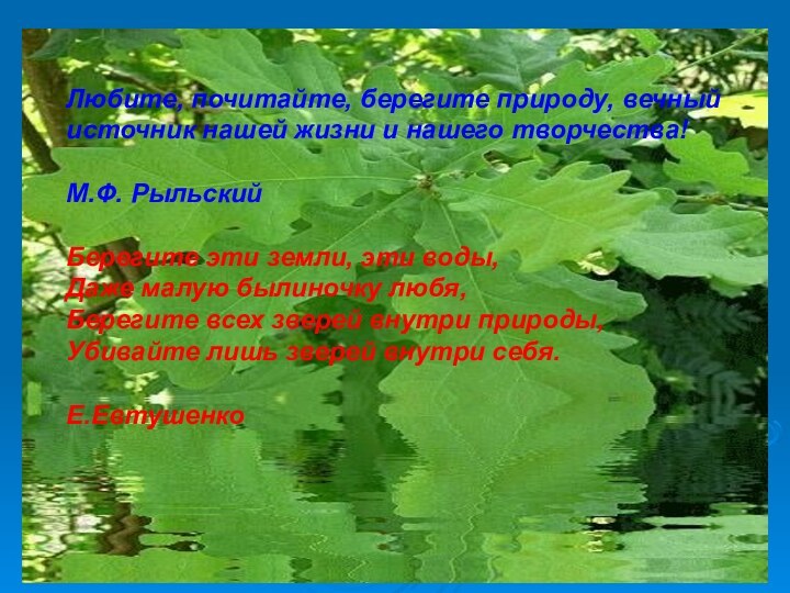 Любите, почитайте, берегите природу, вечный источник нашей жизни и нашего творчества!