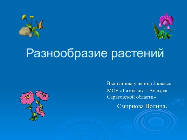 Разнообразие растенийВыполнила ученица 2 классаМОУ «Гимназия г. Вольска Саратовской области»Смирнова Полина.