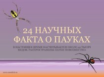 24 научных факта о пауках