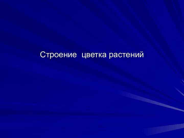 Строение цветка растений