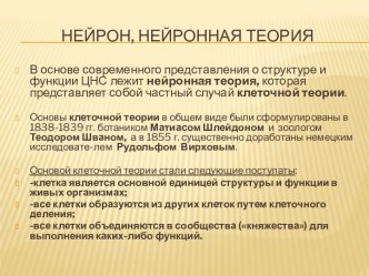 Нейрон, нейронная теория