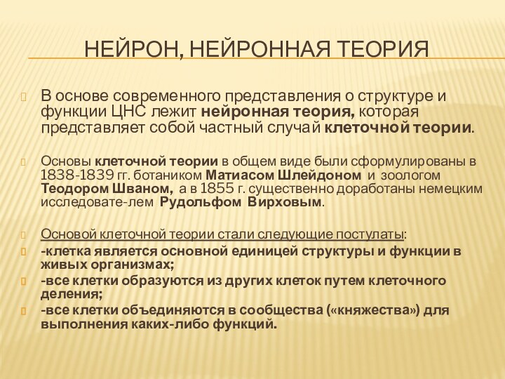 Нейрон, нейронная теорияВ основе современного представления о структуре и функции ЦНС лежит