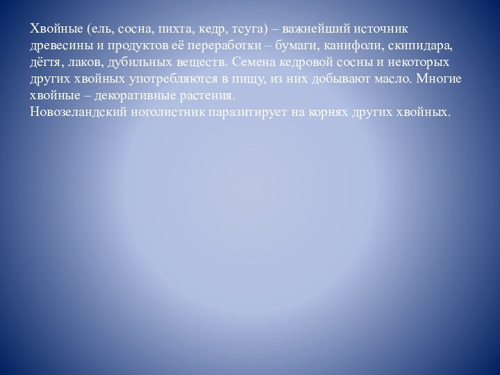 Хвойные (ель, сосна, пихта, кедр, тсуга) – важнейший источник древесины