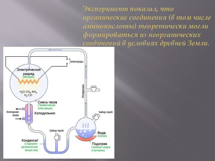 Эксперимент показал, что органические соединения (в том числе аминокислоты) теоретически могли