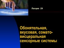 Обонятельная, вкусовая, соматовисцеральная сенсорные системы